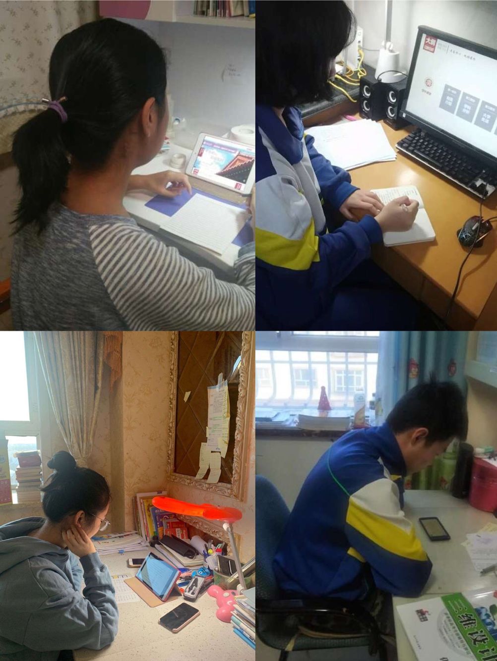 苏悦1.jpg